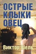 VShel_book cover_Feb7.indd