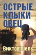 VShel_book cover_Feb7.indd